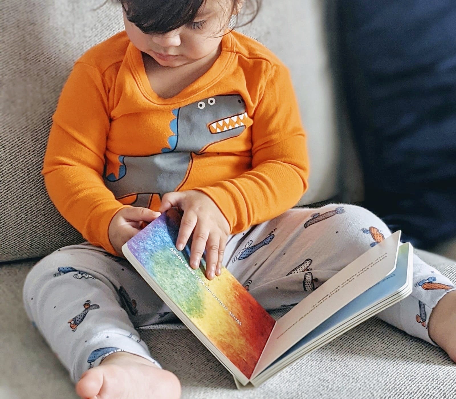 Toddler reading board book